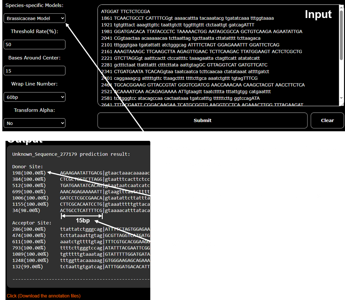 Example of sequence input